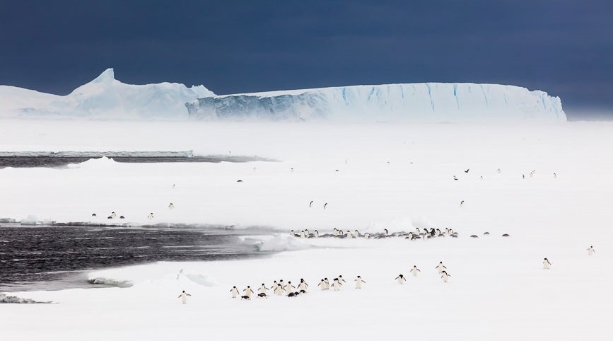 ©Andrew Peacock Antarctica