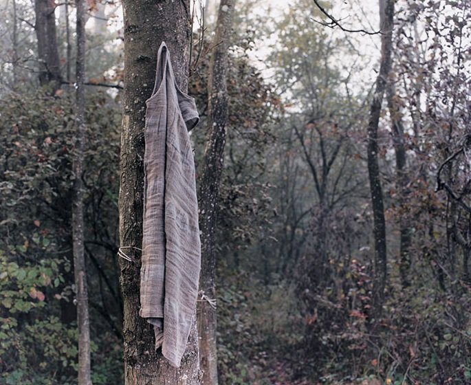 Ayako Mogi Travelling Tree