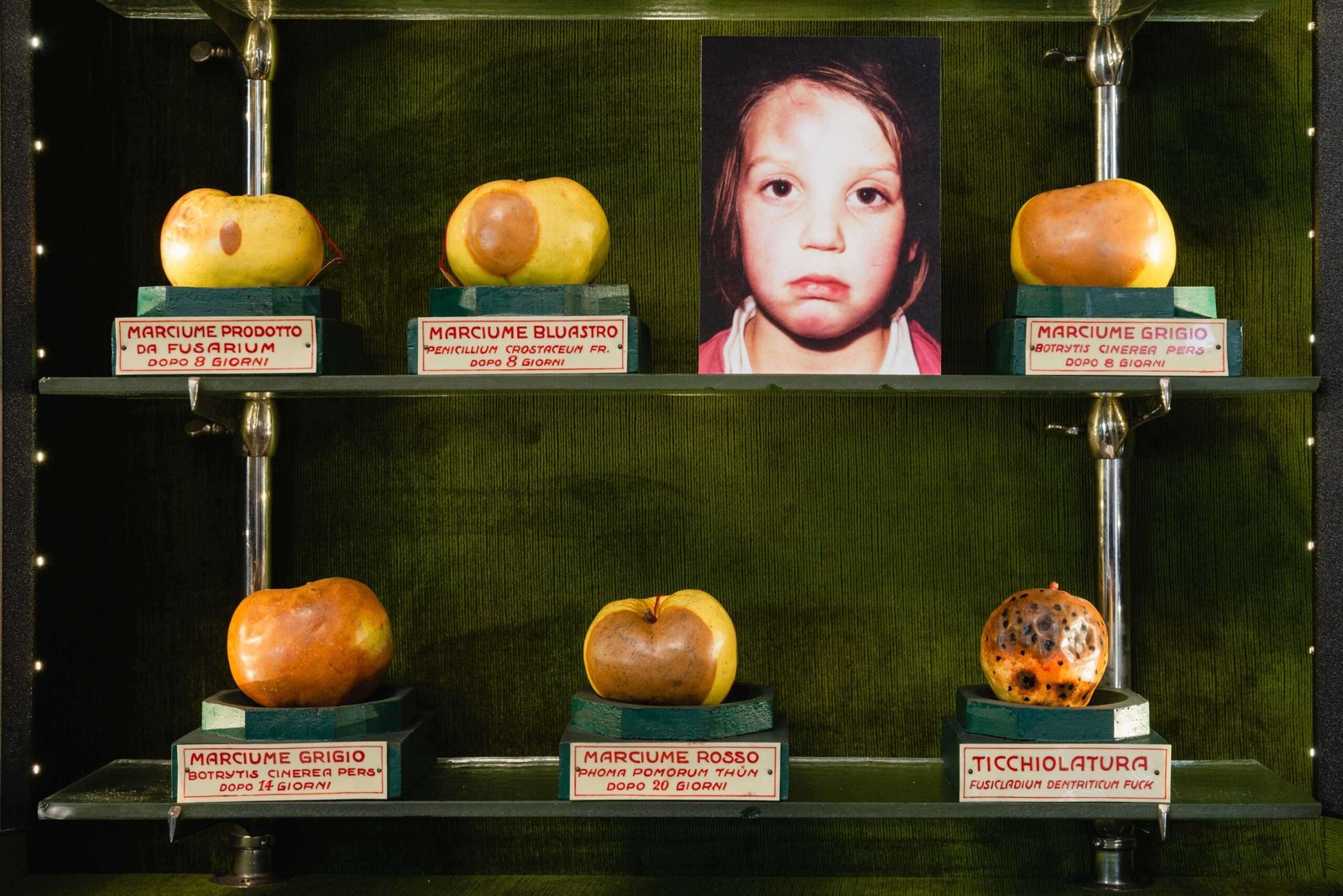 apples and pears_erik kessels