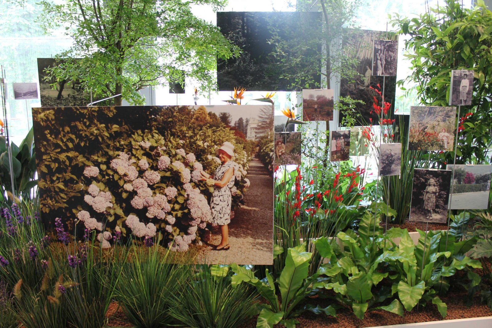 mother nature_erik kessels