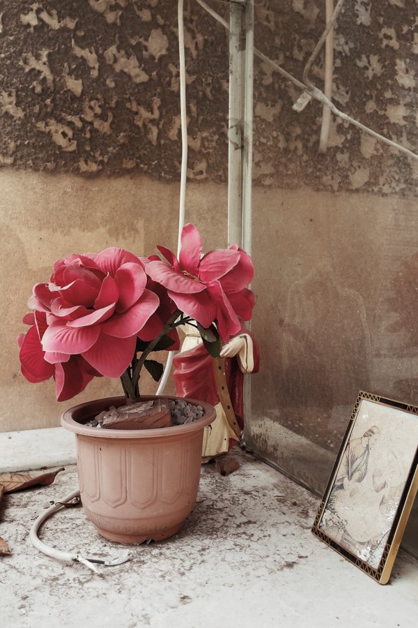 Tanya Traboulsi Interview