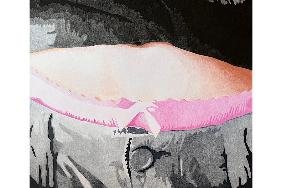 Niki Fallahfar Interview