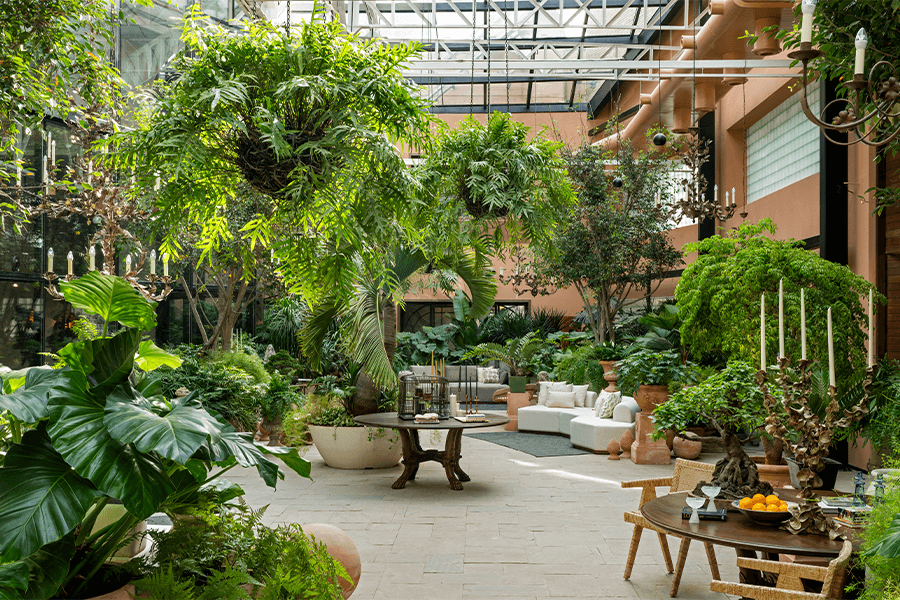 Nilaya3_pc Hashim Badani