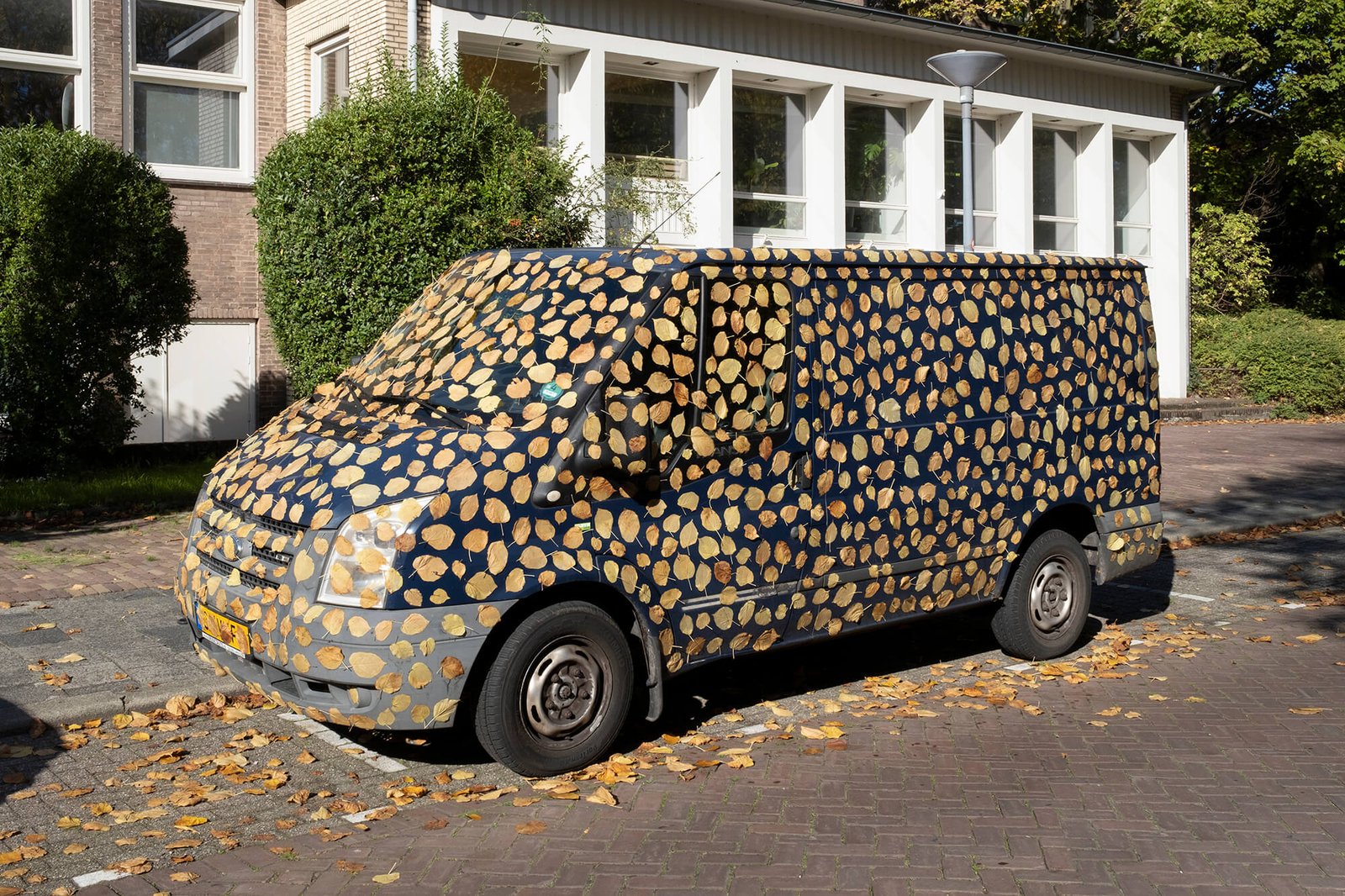 Emaho X Helmut Smits_Fall