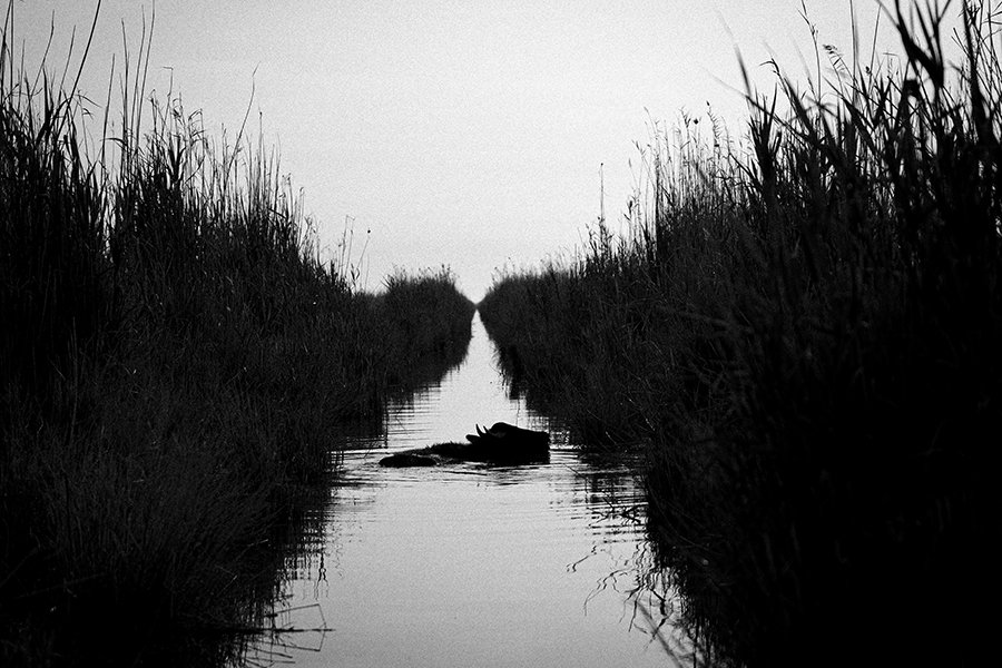 aymen_An Imaginary Museum on the Ground 03