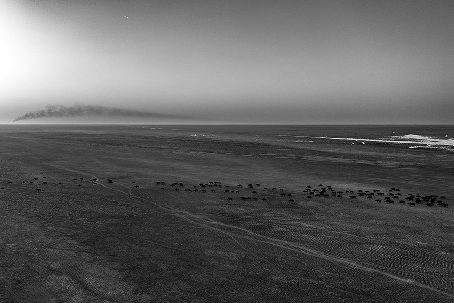 aymen_An Imaginary Museum on the Ground 04