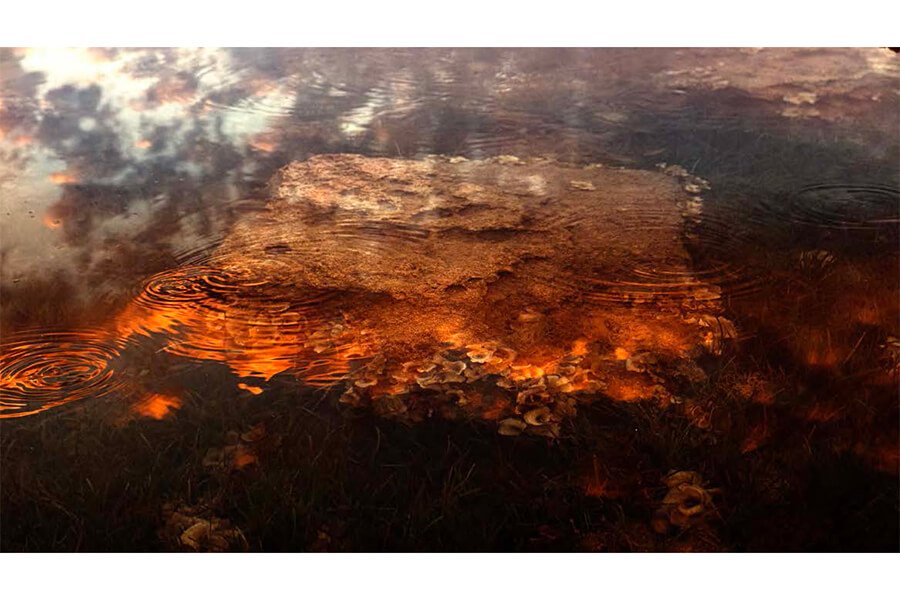 From-the-series-Sedimentations_05