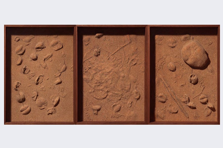 From-the-series-Where-The-Sea-Ends_2024_Vacuumed_objects_petals_coated_with_sand-