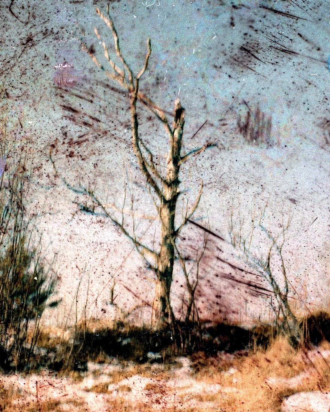 JH Engström-7