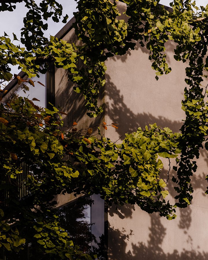 Koechlin-House_Daisuke-Hirabayashi_027